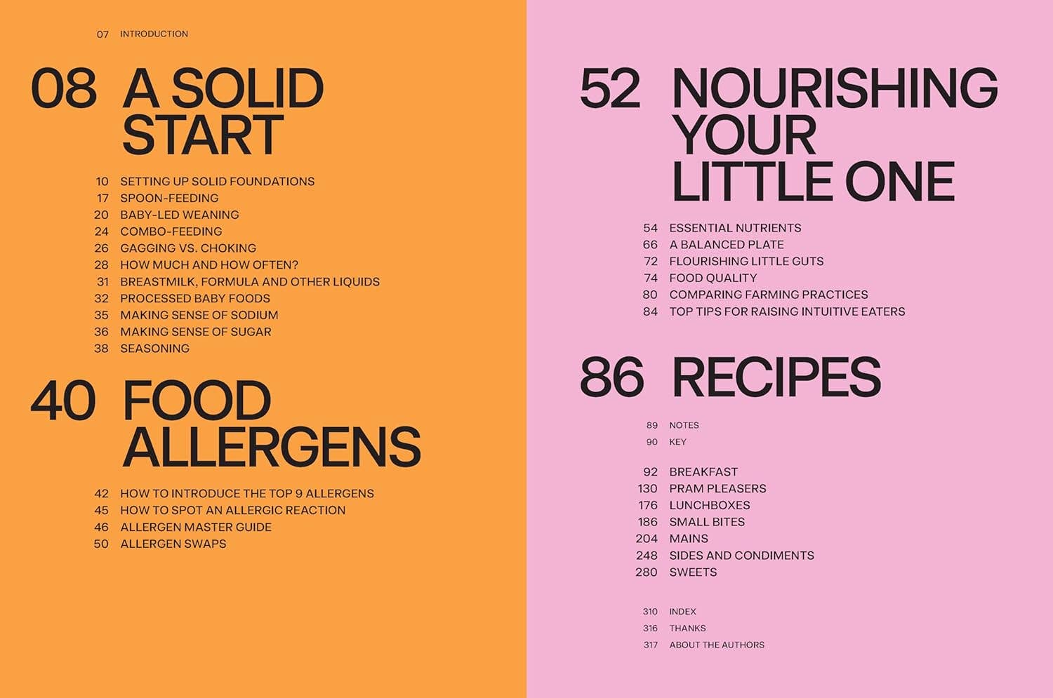 Baby Food Bible - Image 2