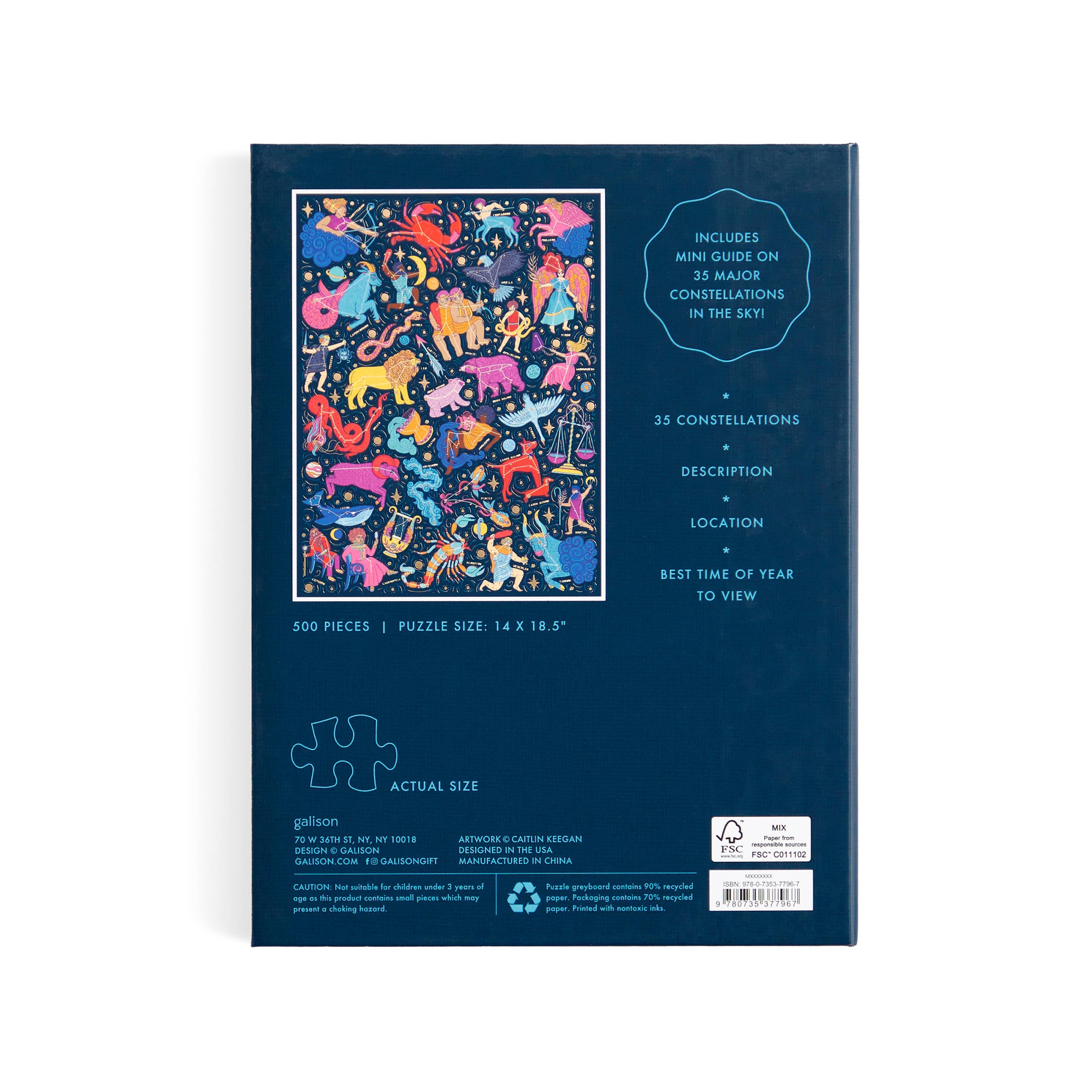 Constellations 101: Stargazing 500 Piece Book Puzzle - Image 3