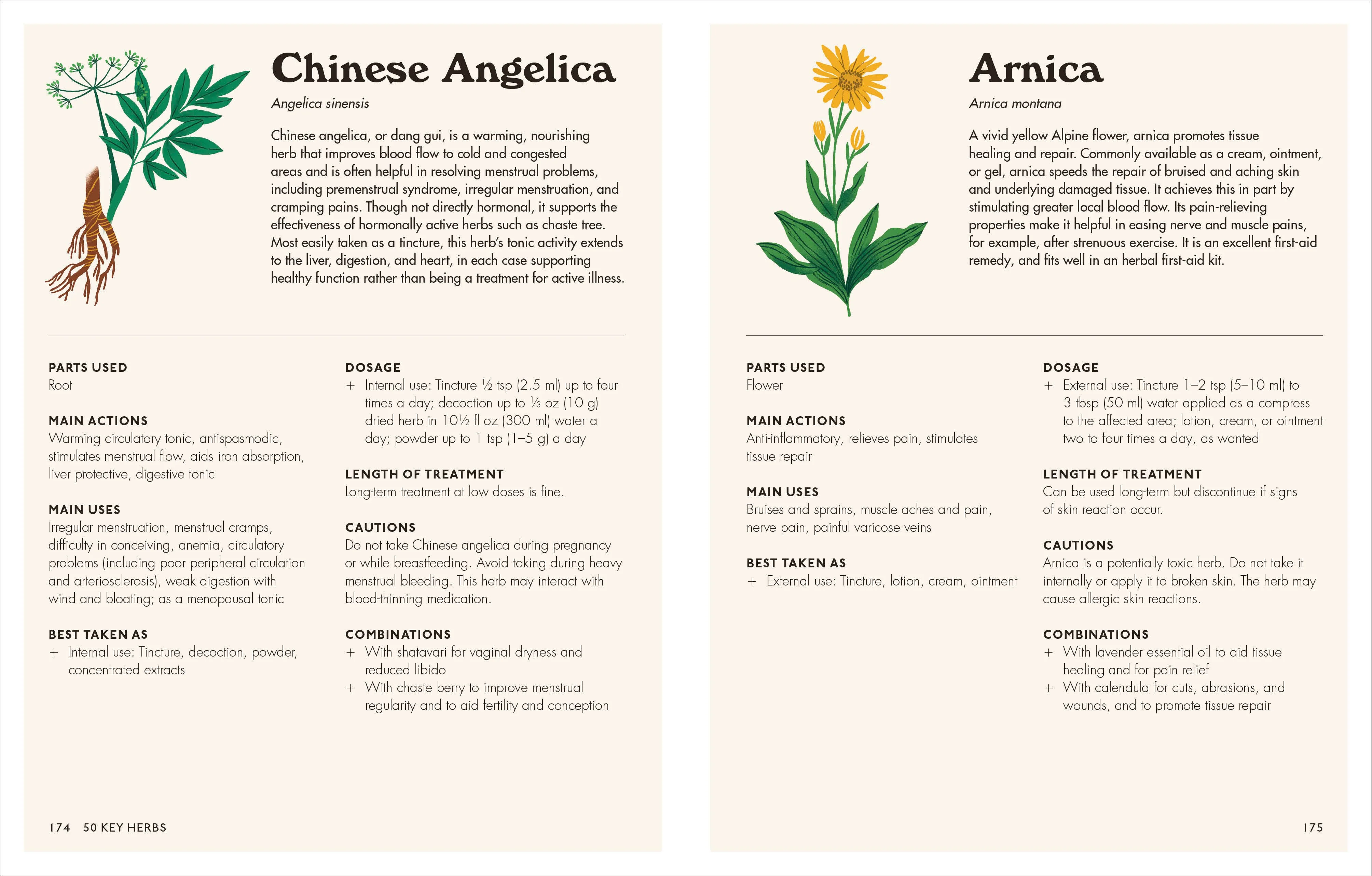 Home Herbal - Image 6