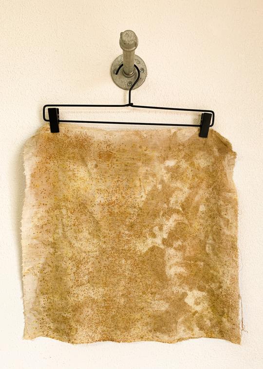 Natural Dye Kit: Bundle Dye (Yellows/Oranges) - Image 3