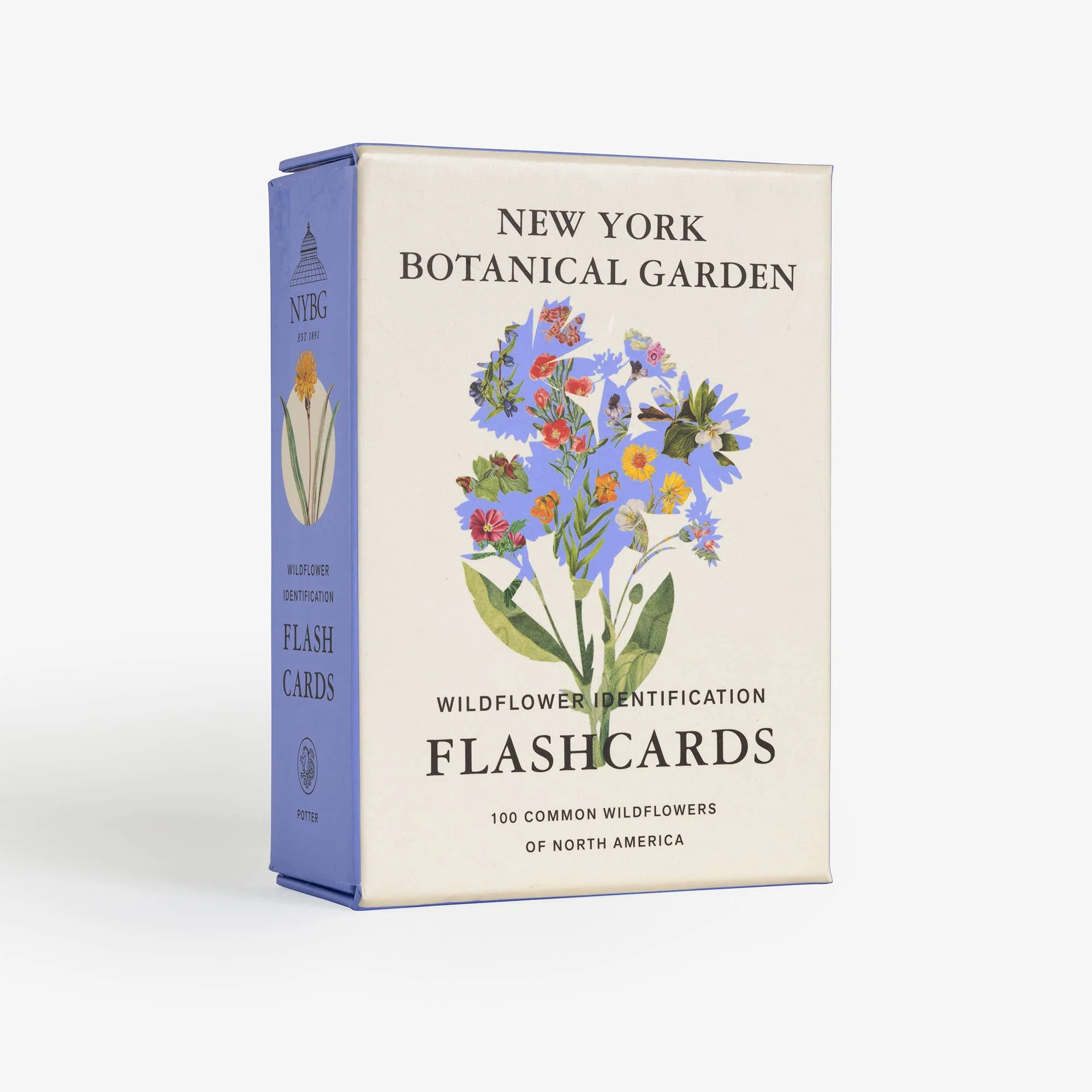 New York Botanical Garden Wildflower ID Flashcards - Image 2