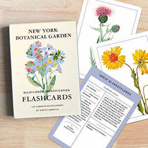 New York Botanical Garden Wildflower ID Flashcards - Image 9
