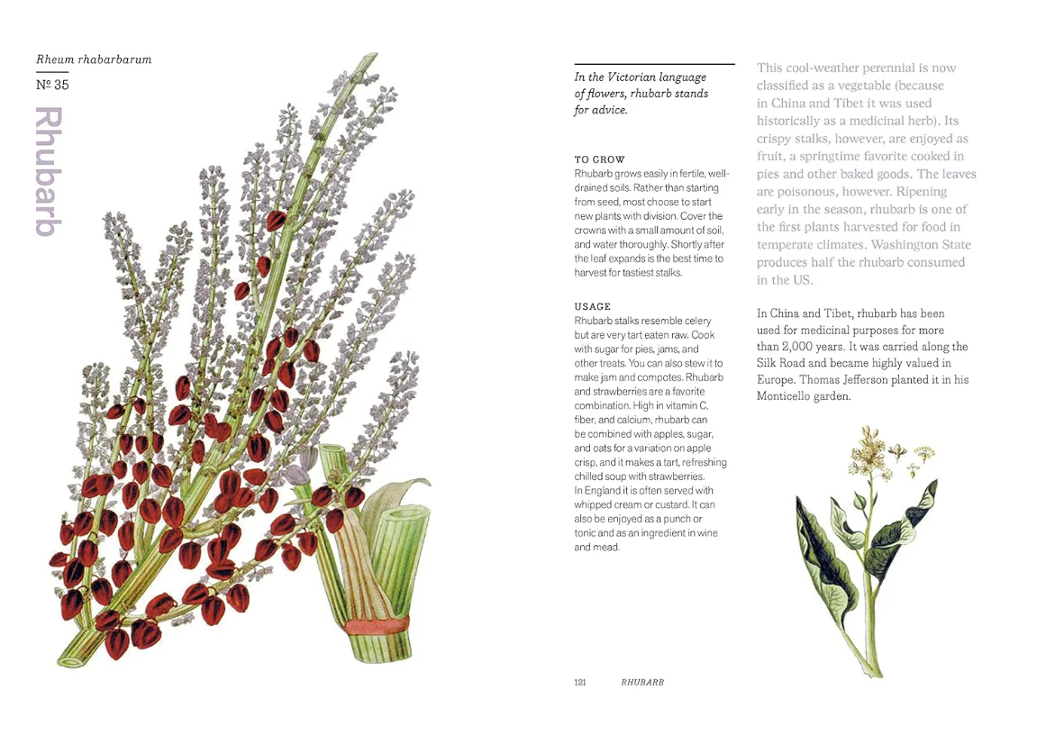 Herbal Handbook: 50 Profiles in Words and Art from the Rare Book Collections of The New York Botanical Garden - Image 2