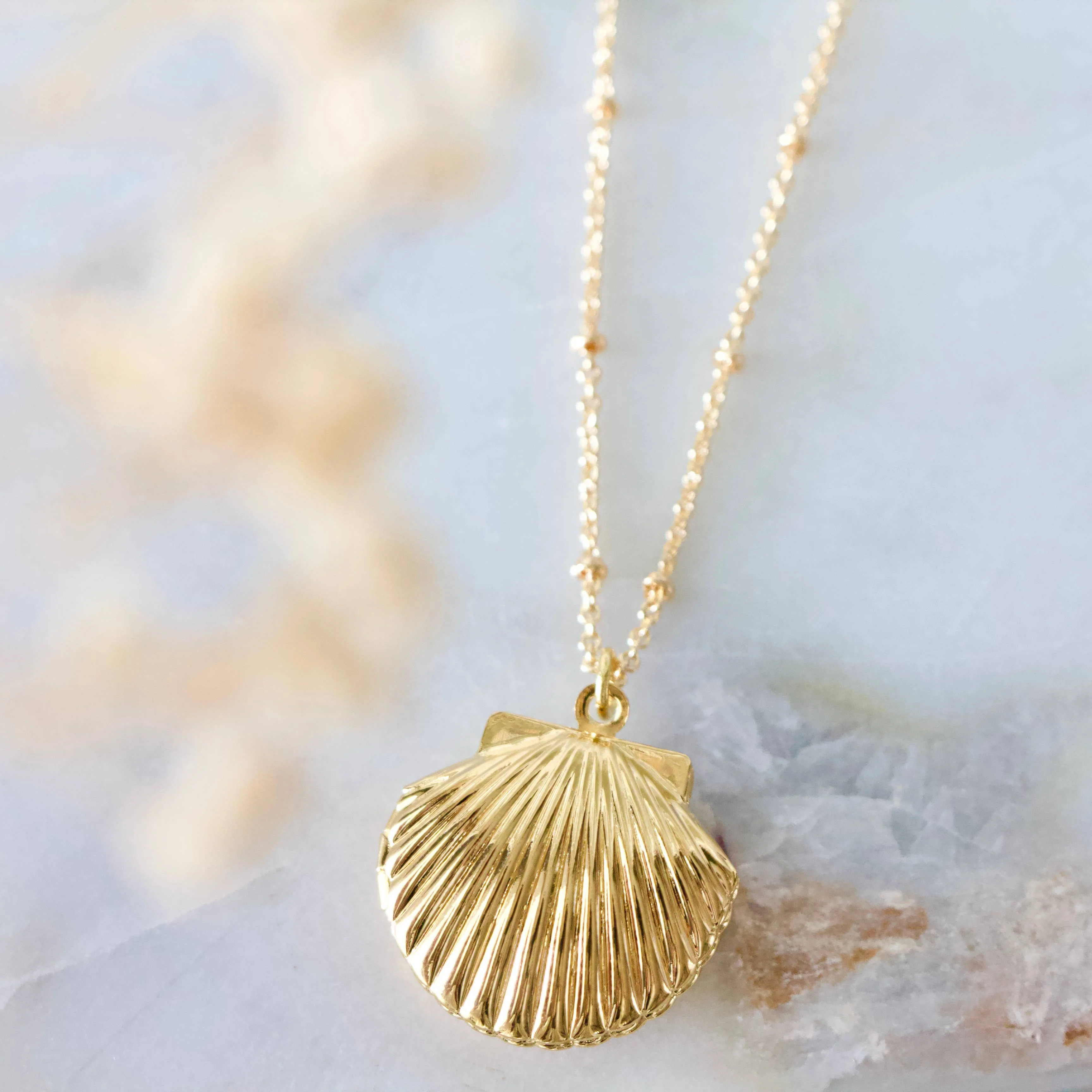 Shell Locket Necklace