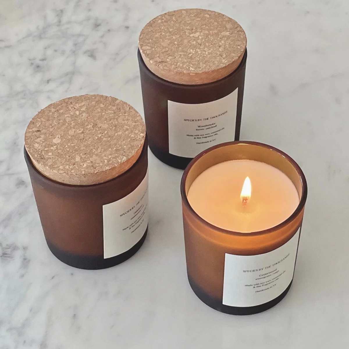 Species by the Thousands - Cedarwood Sweetgrass + Sage Soy Candle - Image 4