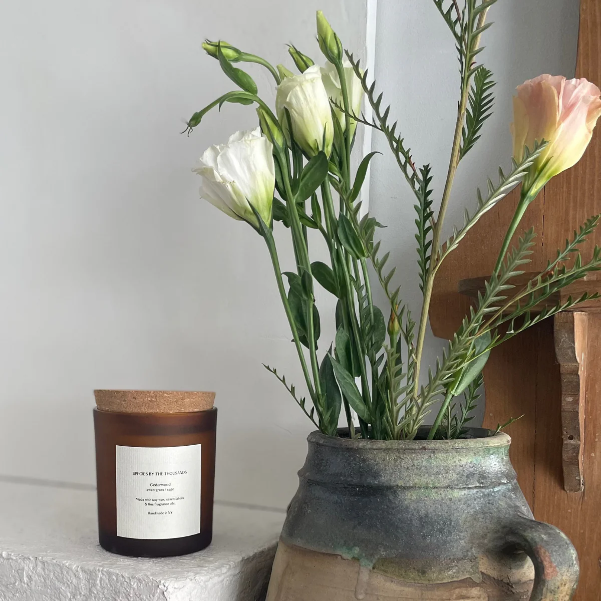 Species by the Thousands - Cedarwood Sweetgrass + Sage Soy Candle - Image 5
