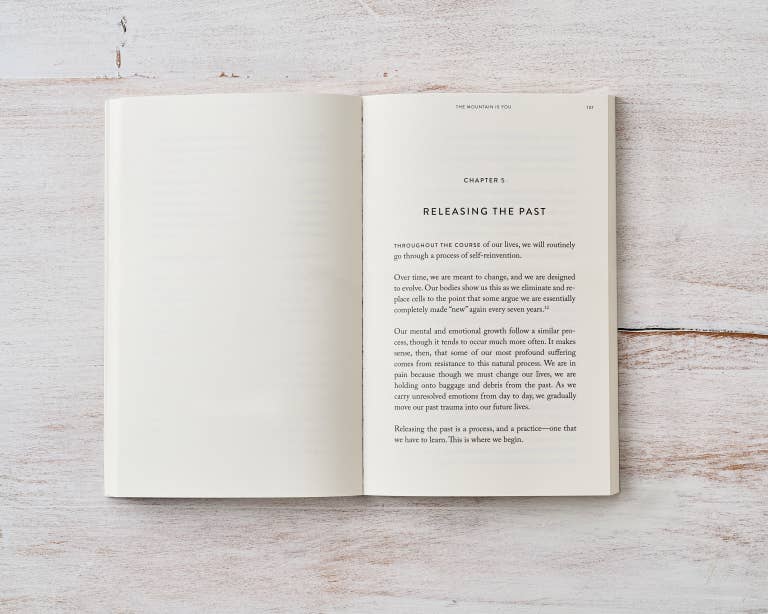 The Mountain Is You - book - Image 8